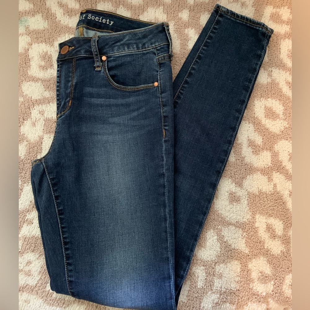 Articles of Society Skinny Jeans